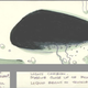 Illustration for article titled Unused storyboards show how Alien could have been more "pornographic"